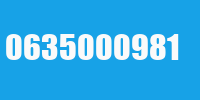 0635000981