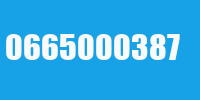 0665000387