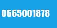 0665001878