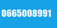 0665008991