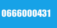 0666000431