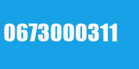 0673000311