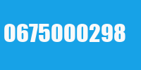 0675000298