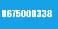 0675000338