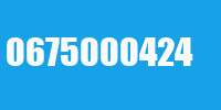 0675000424