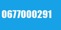 0677000291