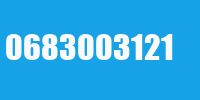 0683003121