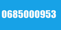 0685000953