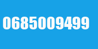 0685009499