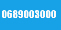 0689003000