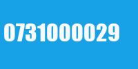 0731000029