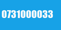 0731000033