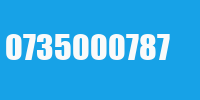 0735000787