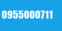 0955000711