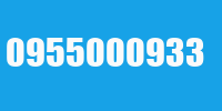 0955000933