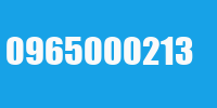 0965000213