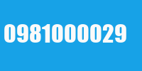 0981000029