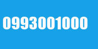 0993001000